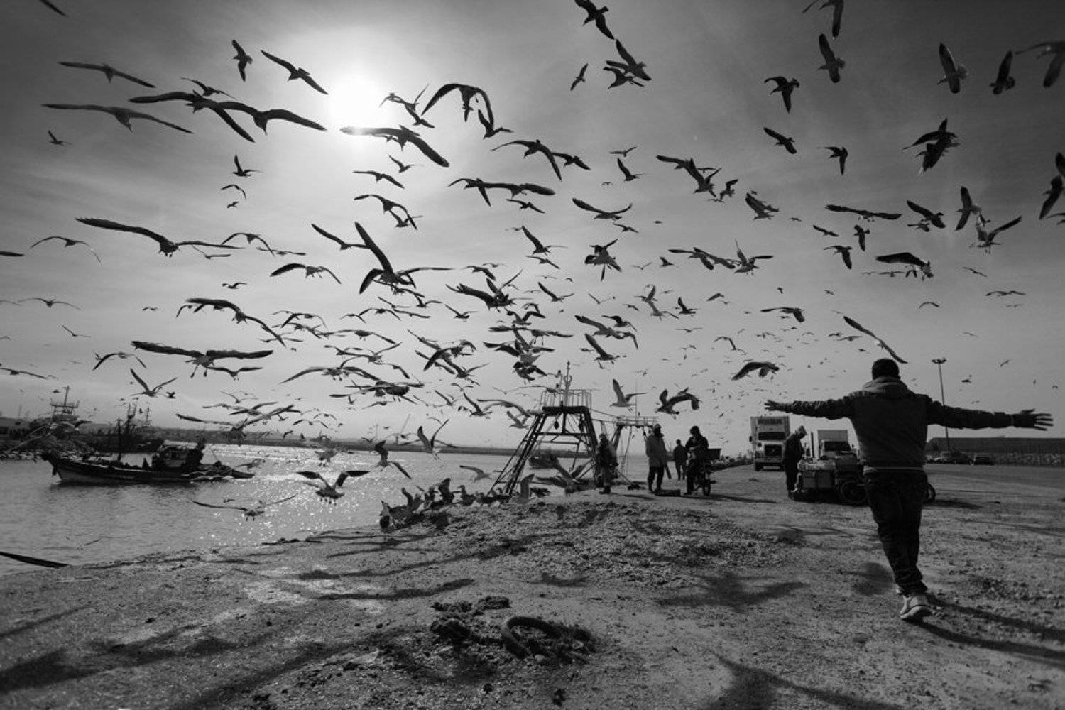 , Андрей Перешеин