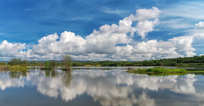 * * * фото превью