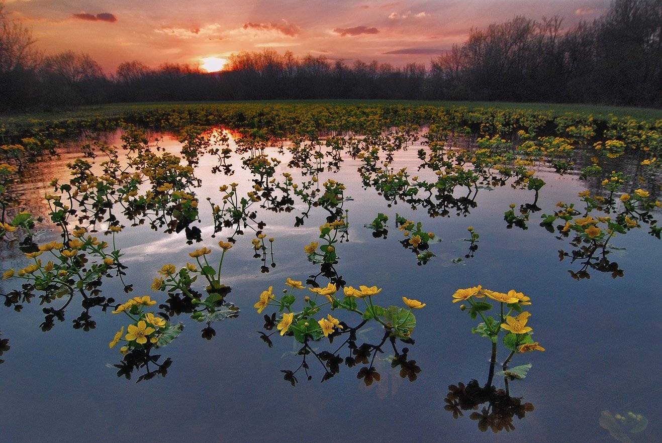 , Клековкин Алексей