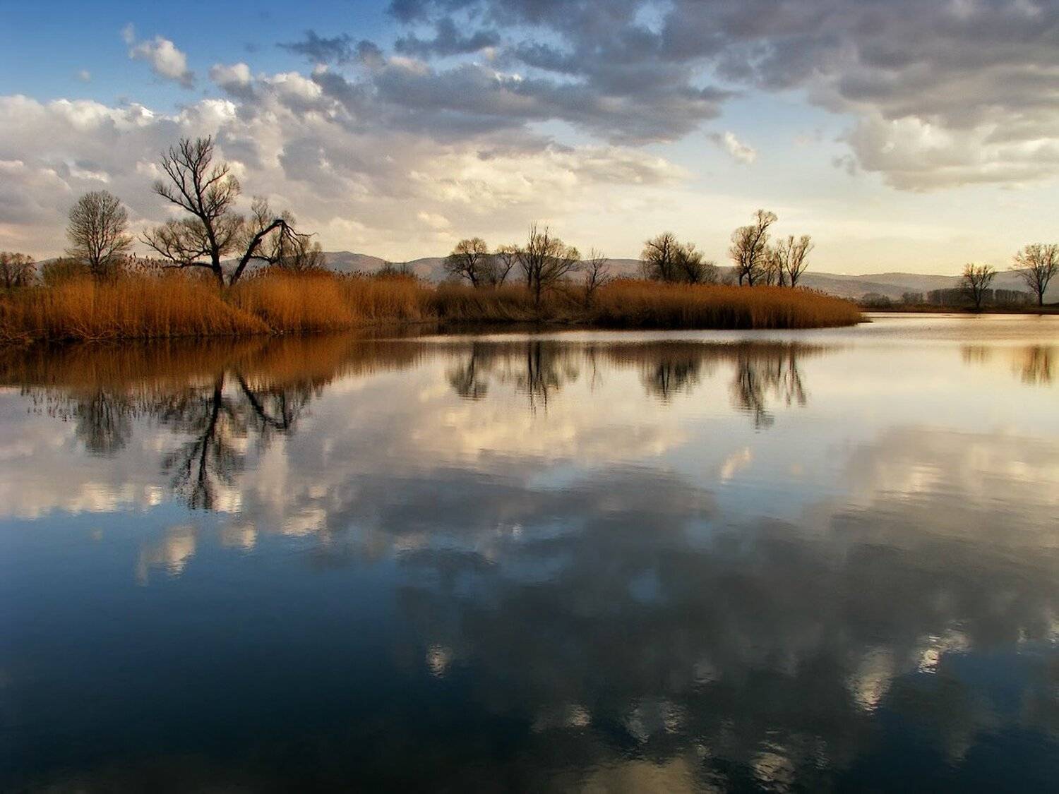 , Ирина Костова