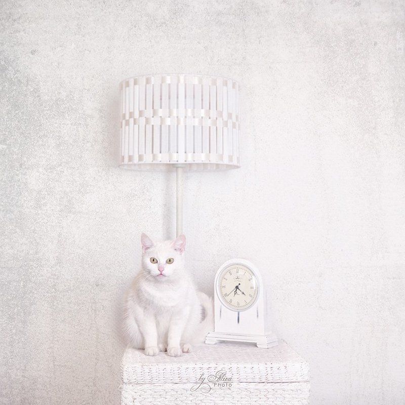 в ожидании... фото превью