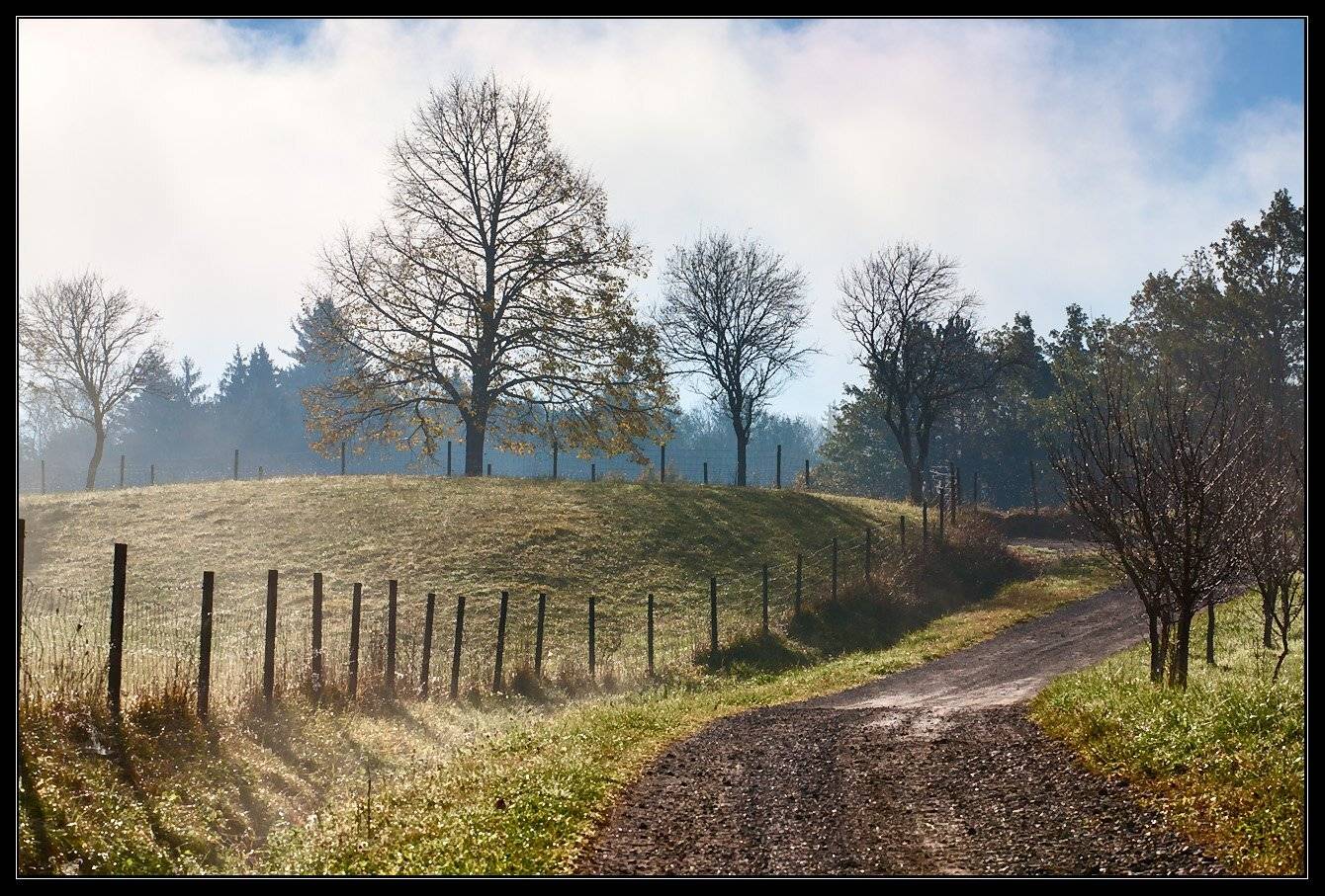 , Aivars