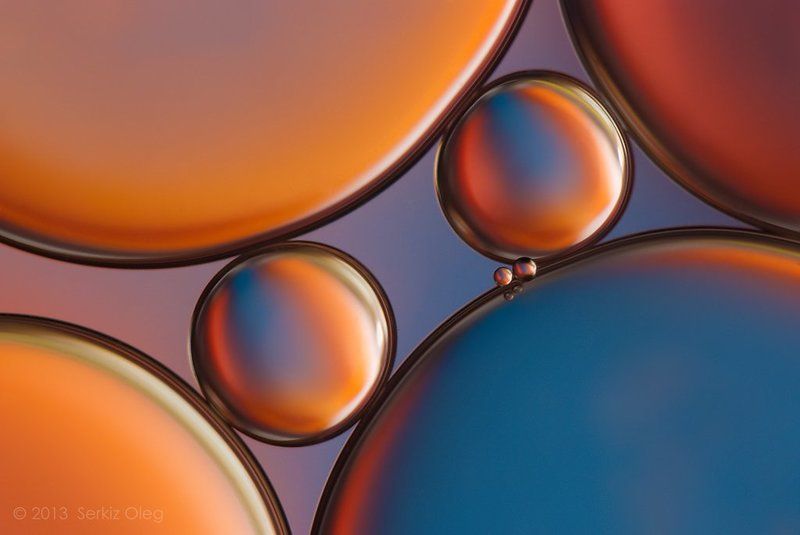 oil, water, macro, bubbles, abstract, art, oleg serkiz, вода, масло, Oil and Water  II фото превью