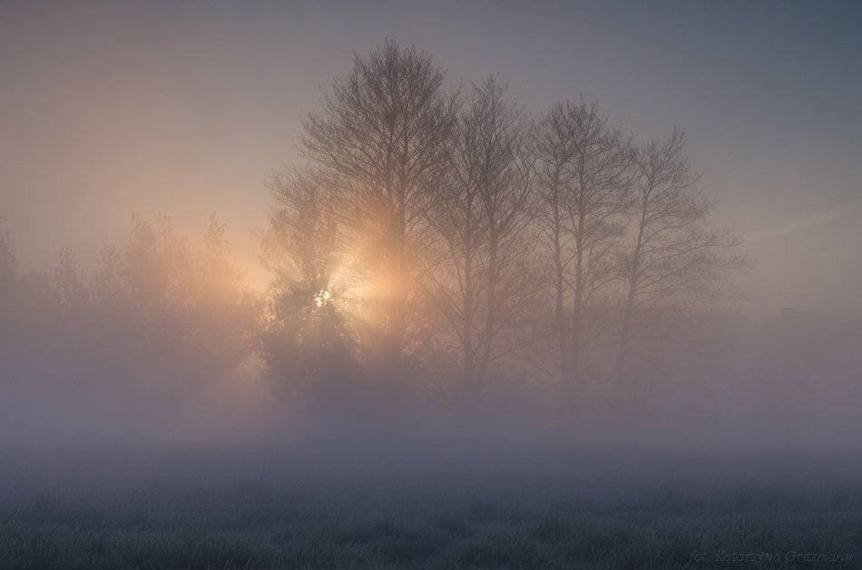 , Katarzyna Gritzmann