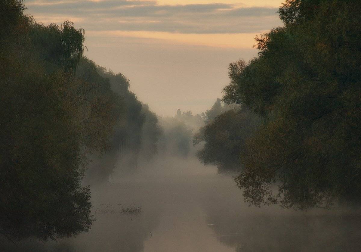 , Марина Брыдня