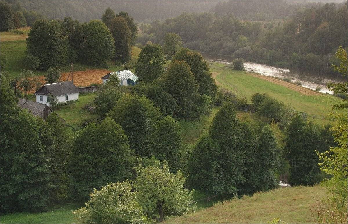 , Николай Шахманцир