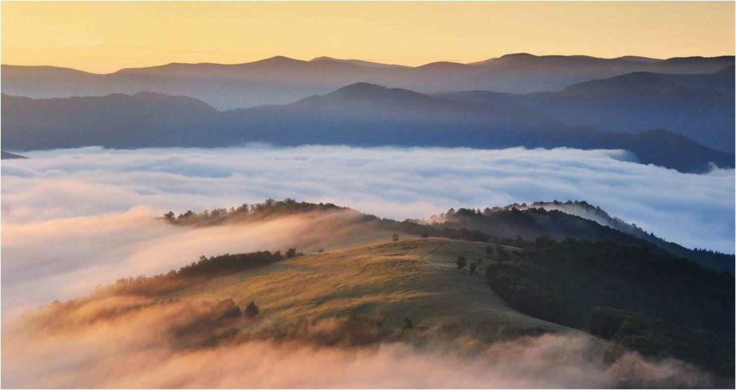 , Денис Кривой