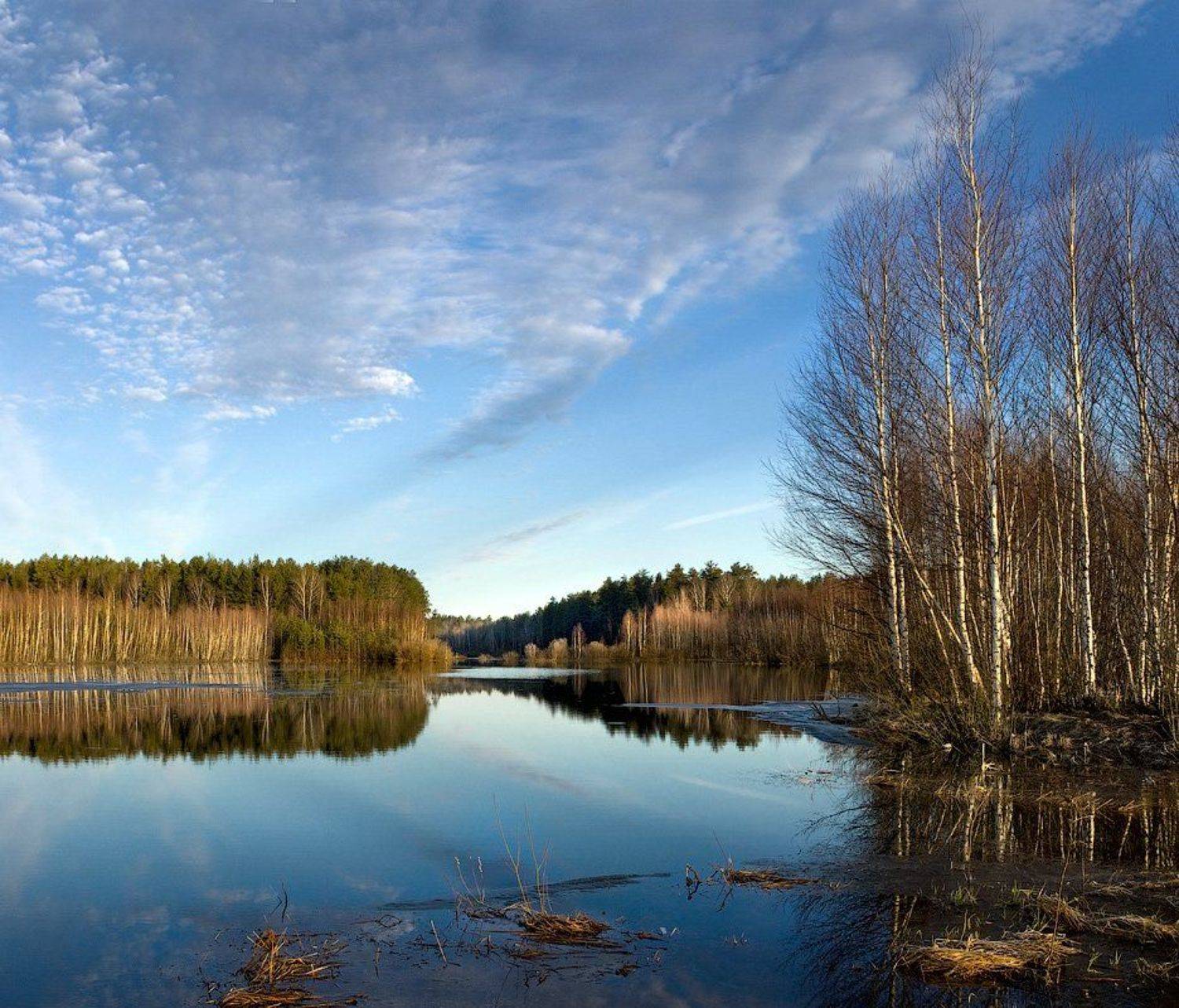 утро, апрель, лед, вода, Дмитрий Алексеев