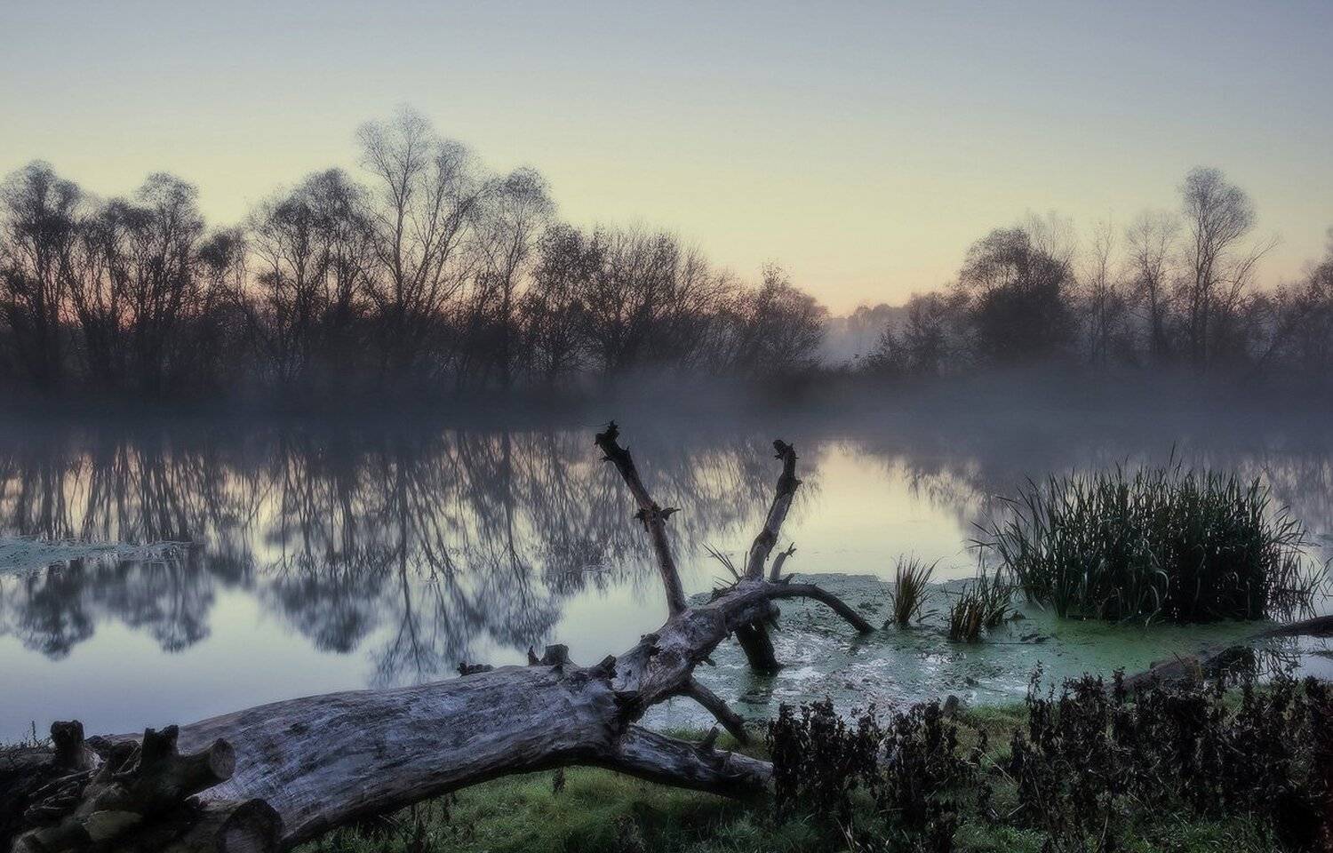 , Животков Андрей