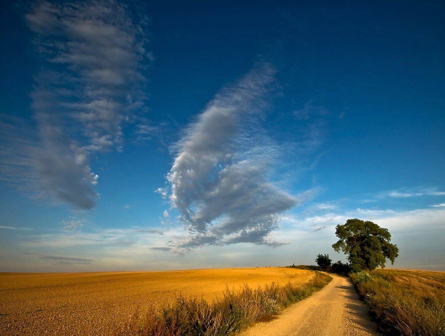 , Miroslaw Grobelski