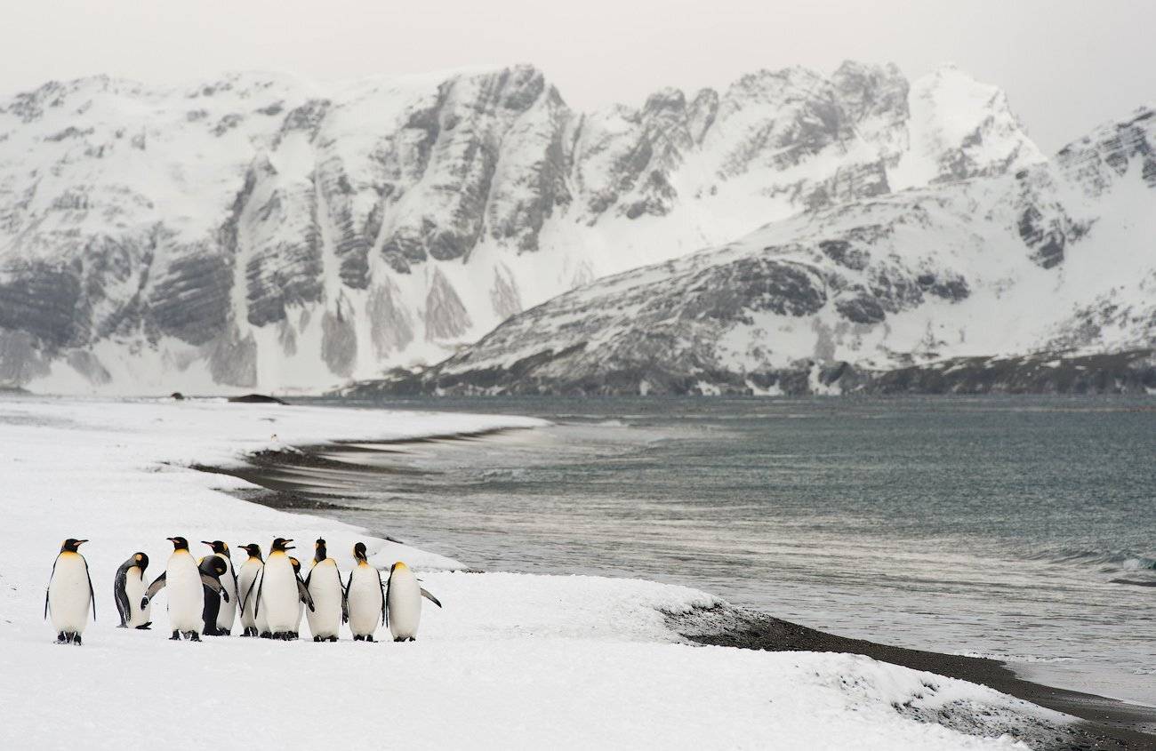 , Андрей Ведерников
