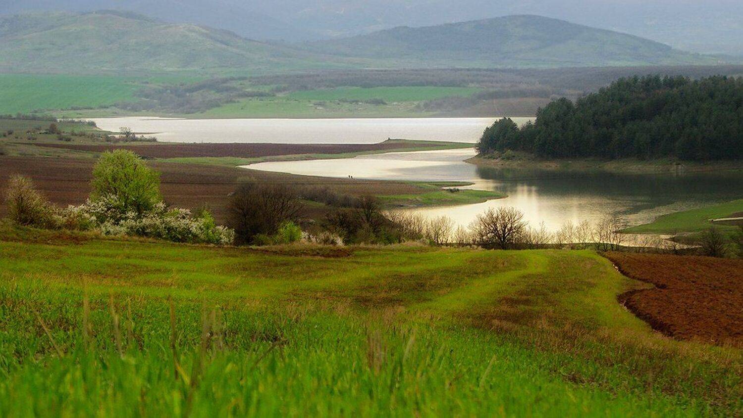 , Ирина Костова