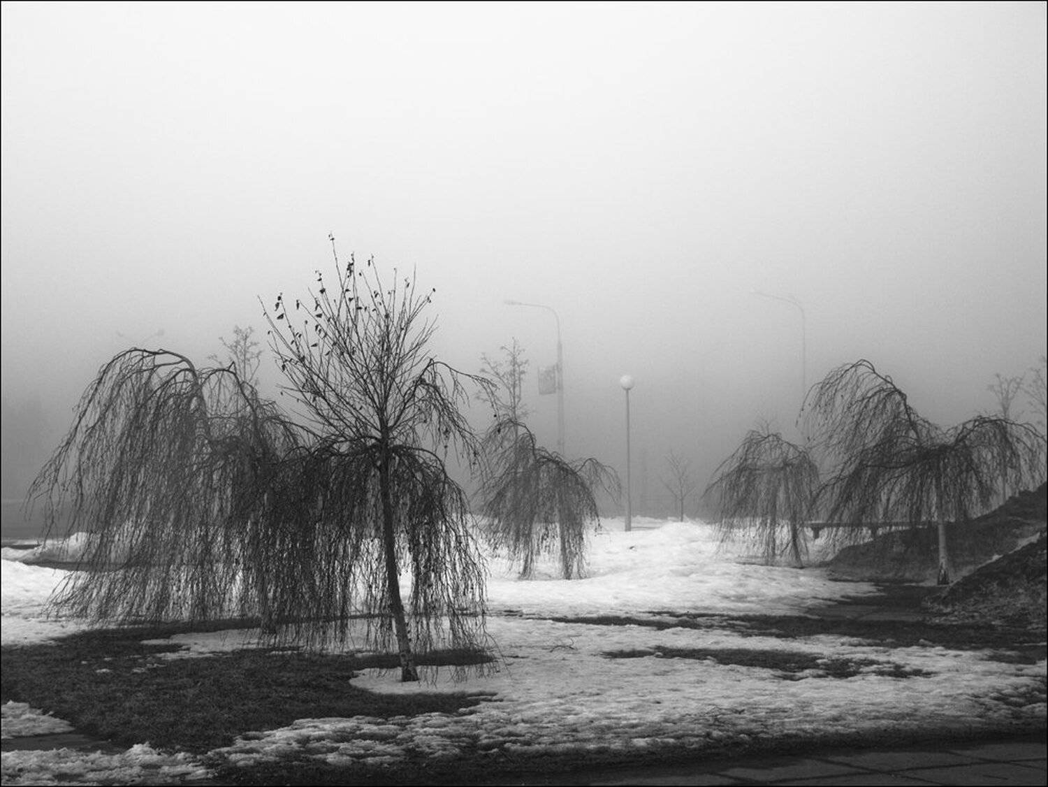 , Крицак Ольга