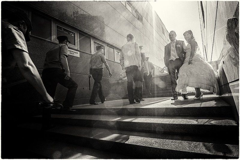 зайцы и полиция фото превью