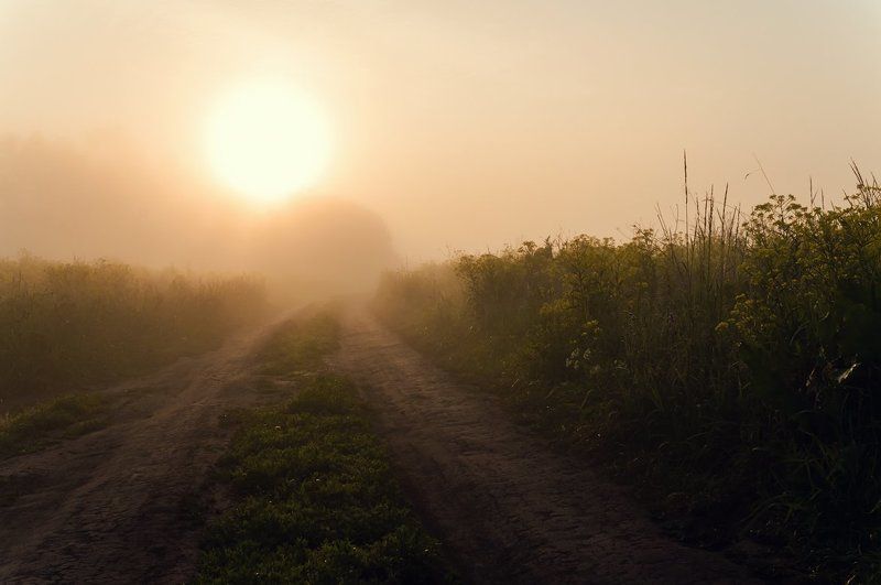 По дороге уходящей в туман фото превью