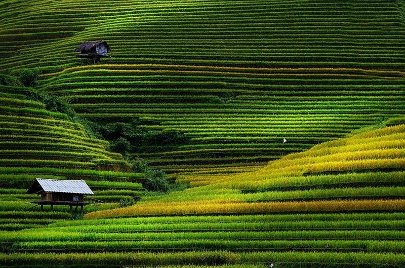 October in Yen Bai фото превью