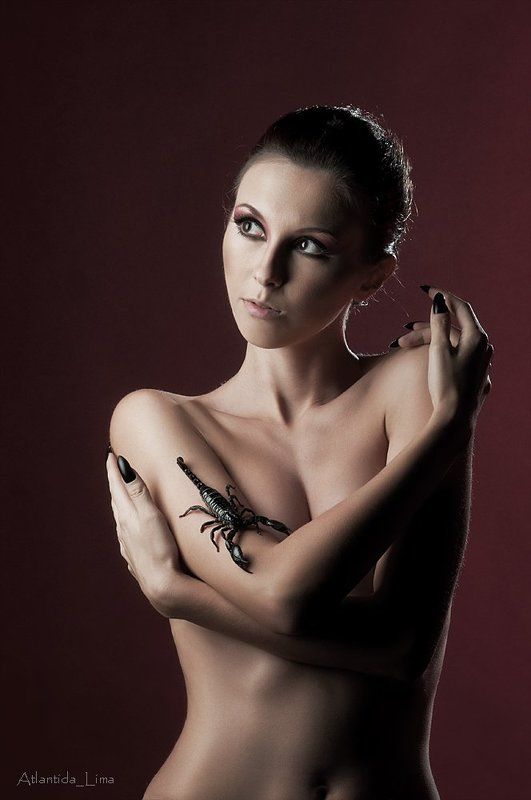 скорпион фото превью