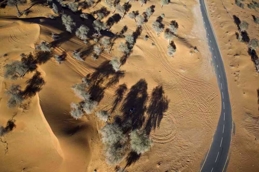 , Борис Резванцев