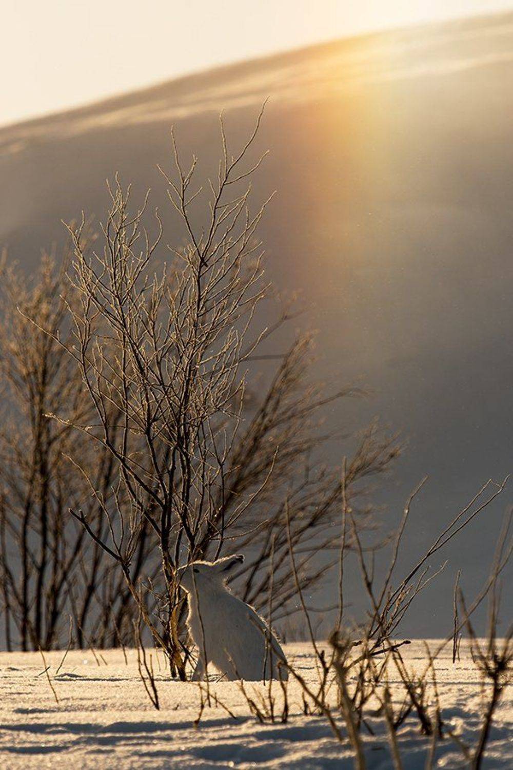 , Иван Кислов