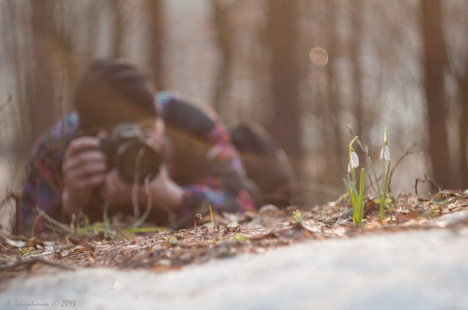 , Любомир Тригубишин
