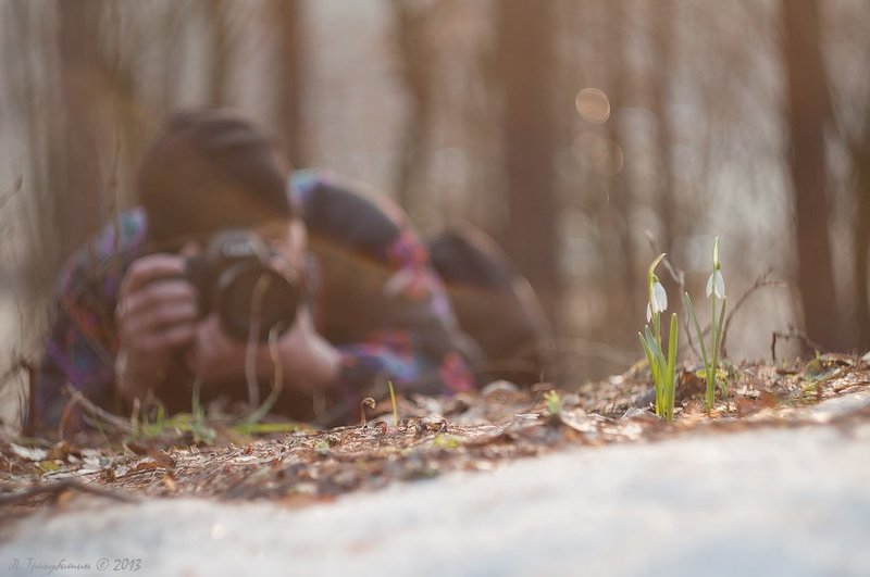 Нелегкие будни фотографа-натуралиста фото превью