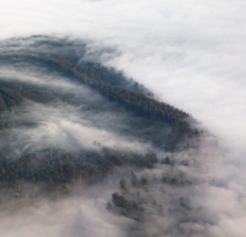 Сладкий плен фото превью