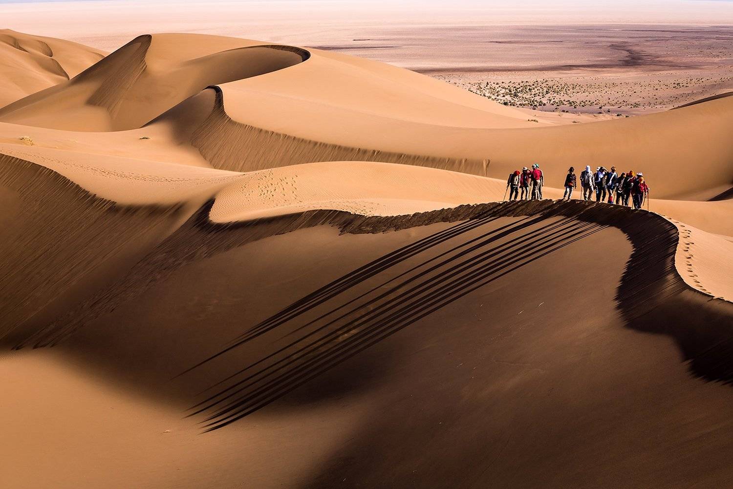 , Mohammadreza Momeni