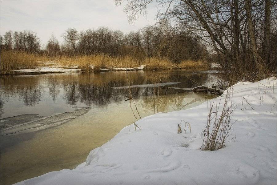 , Eleonora Grigorjeva