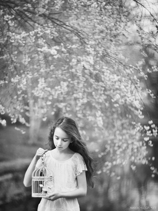 The Forgotten Melody фото превью