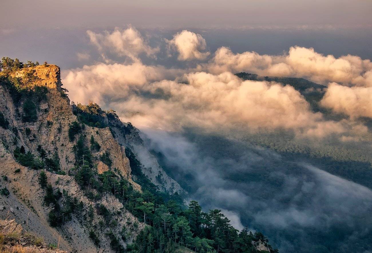 , Игорь Мелекесцев