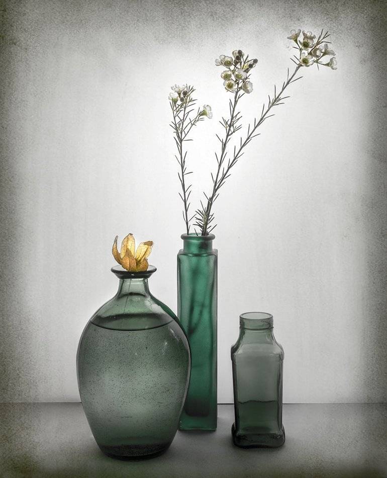 , Людмила Прокофьева