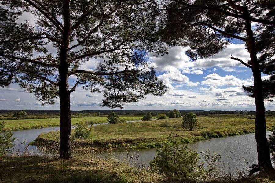 , Валерий Кондратов