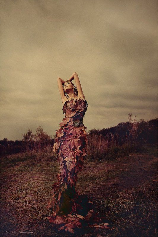 Осень фото превью