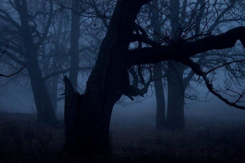 * фото превью