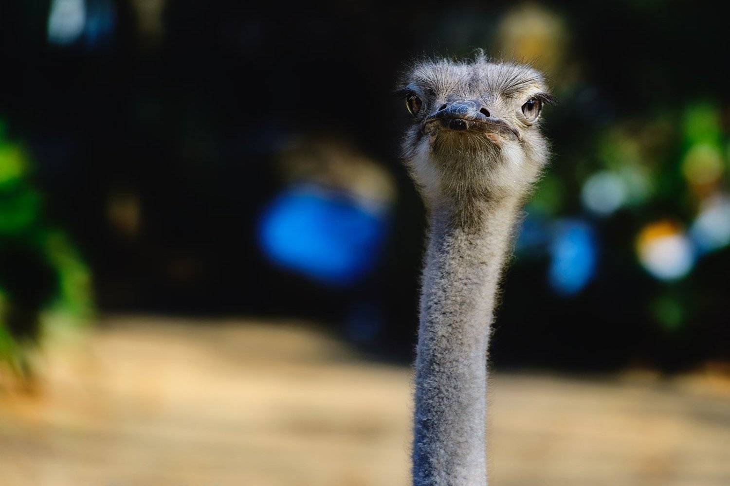 , Прожигин Максим