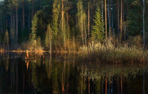 Апрельское зазеркалье