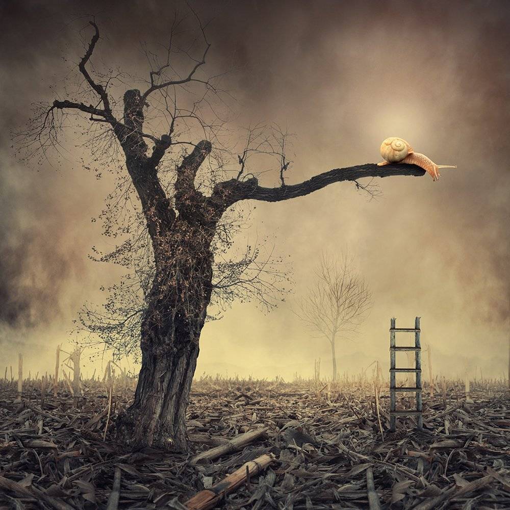 manipulation, mist, mystery, photoshop, psd, red, running, tree, tutorials, Caras Ionut