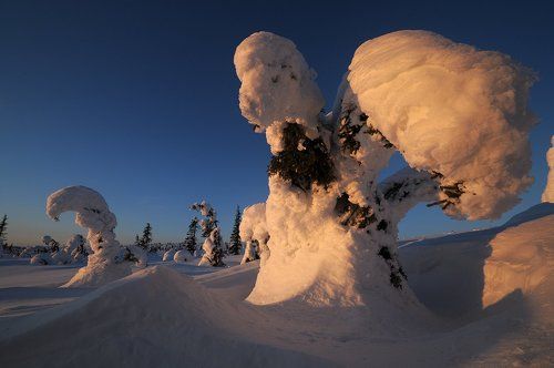 Последний оплот зимы