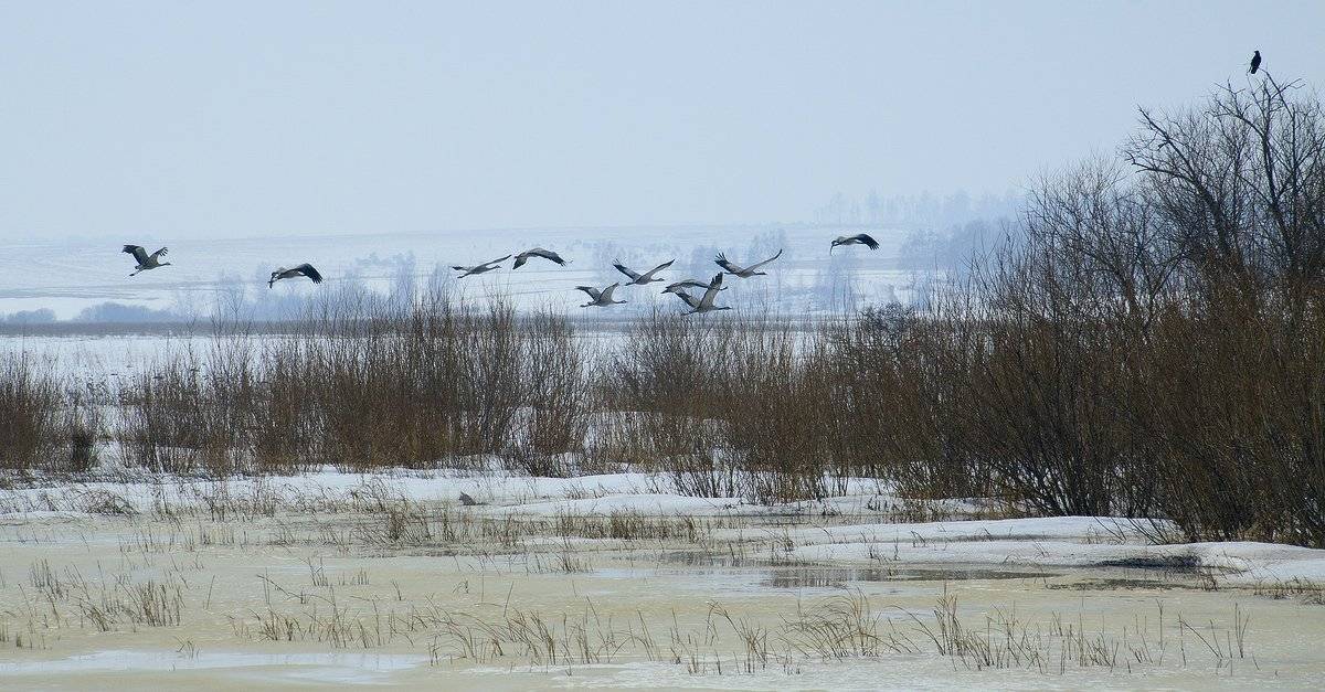 , Николай Морский
