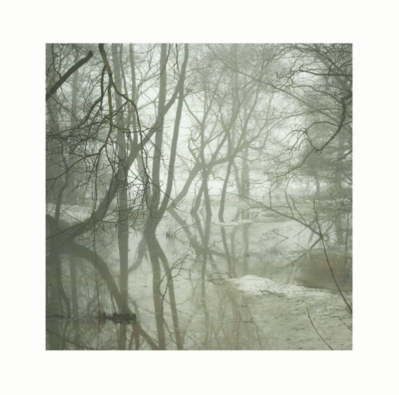 ... фото превью