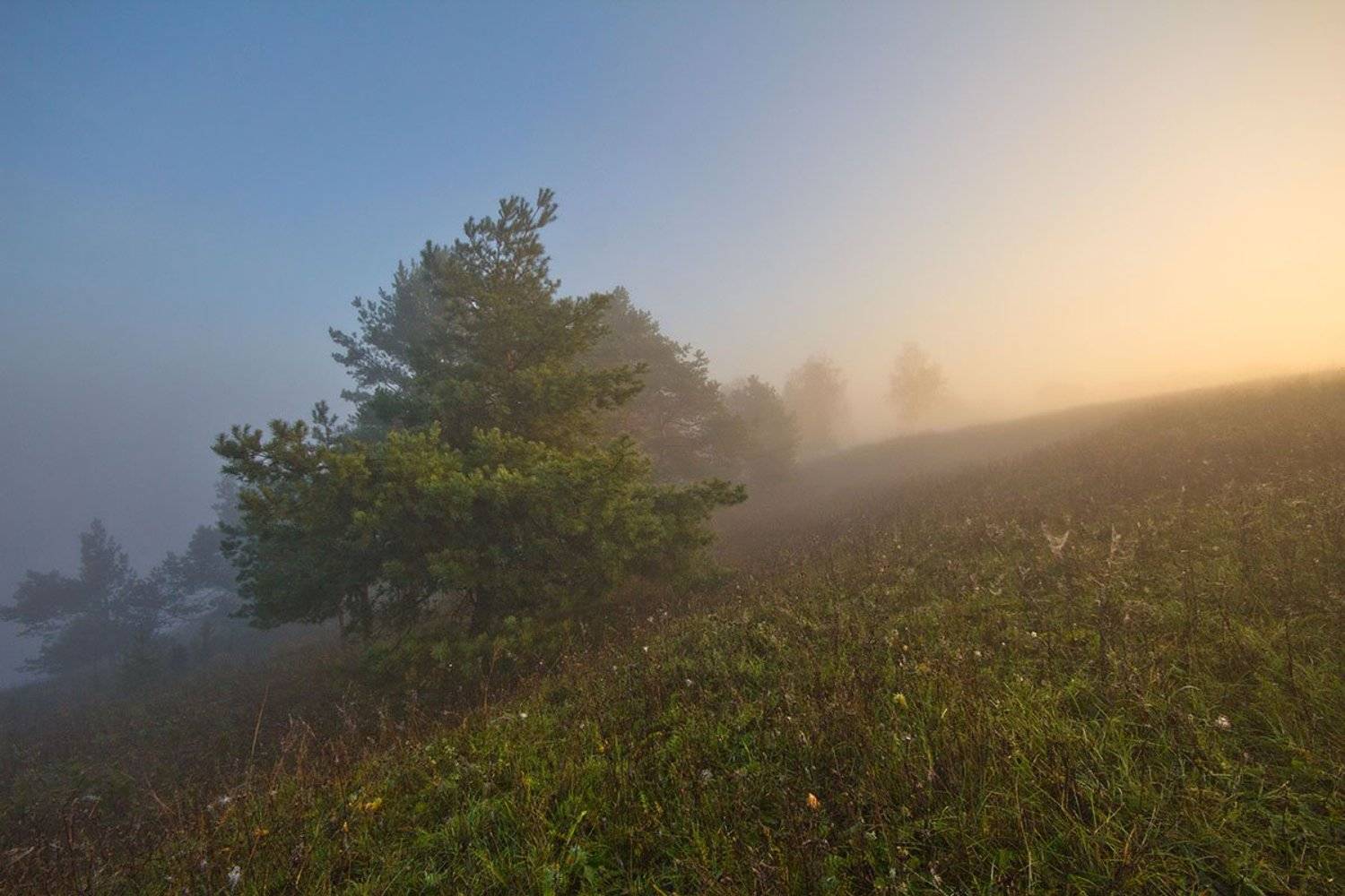 , Артём Маковский
