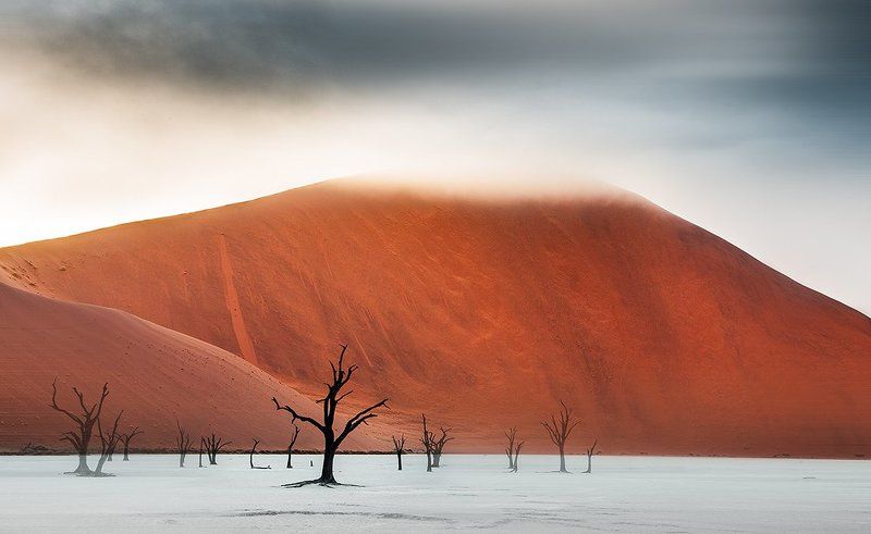 намибия, пустыня Призраки Намиб фото превью