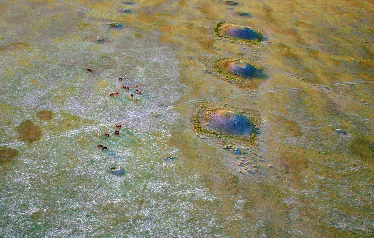 , Борис Резванцев