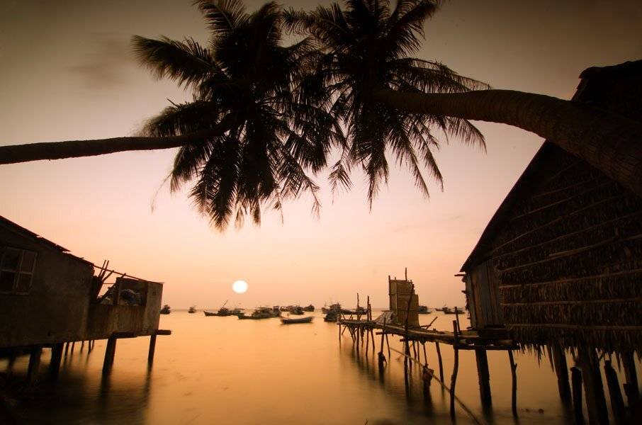 , Frank Dang