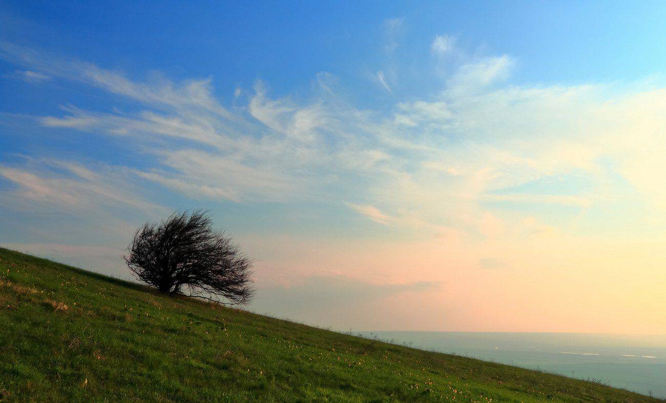 , Михаил  Пилипенко