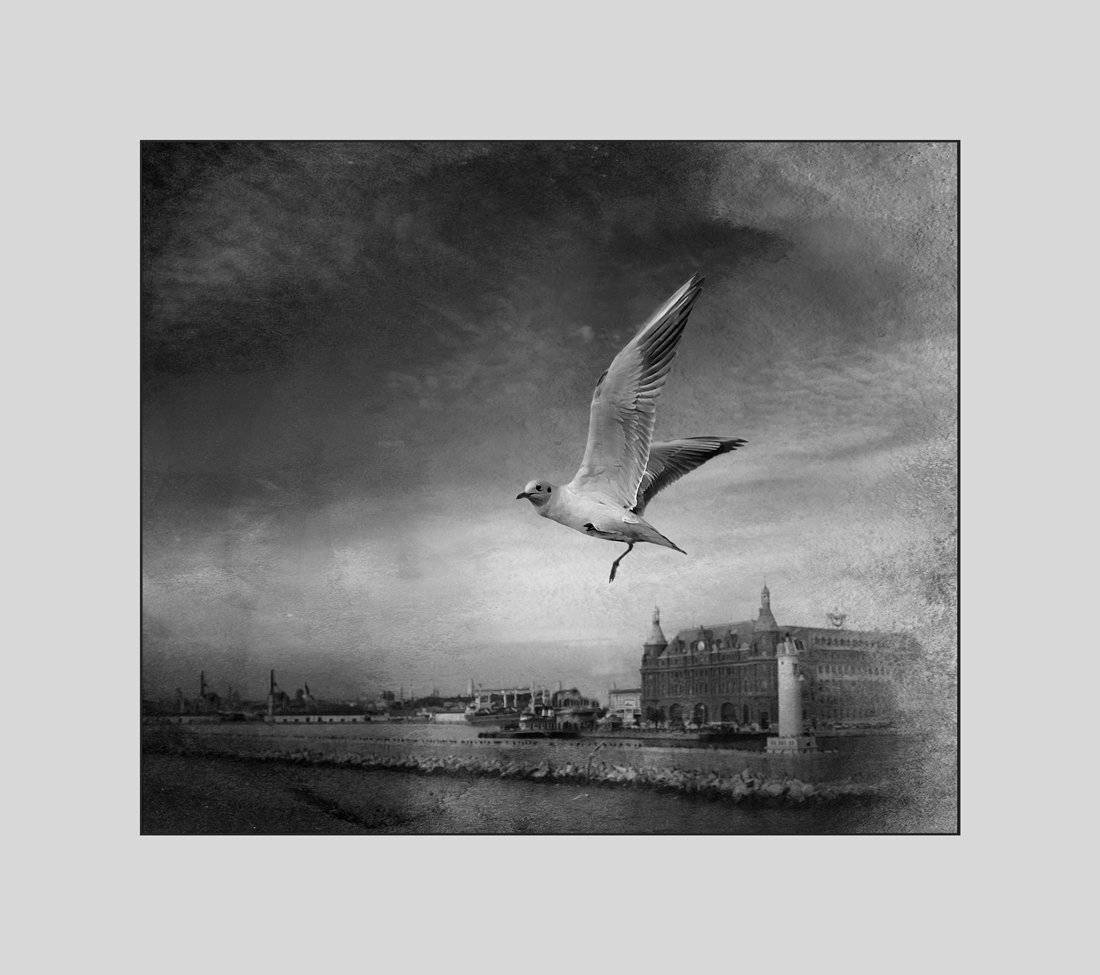 , Людмила Прокофьева