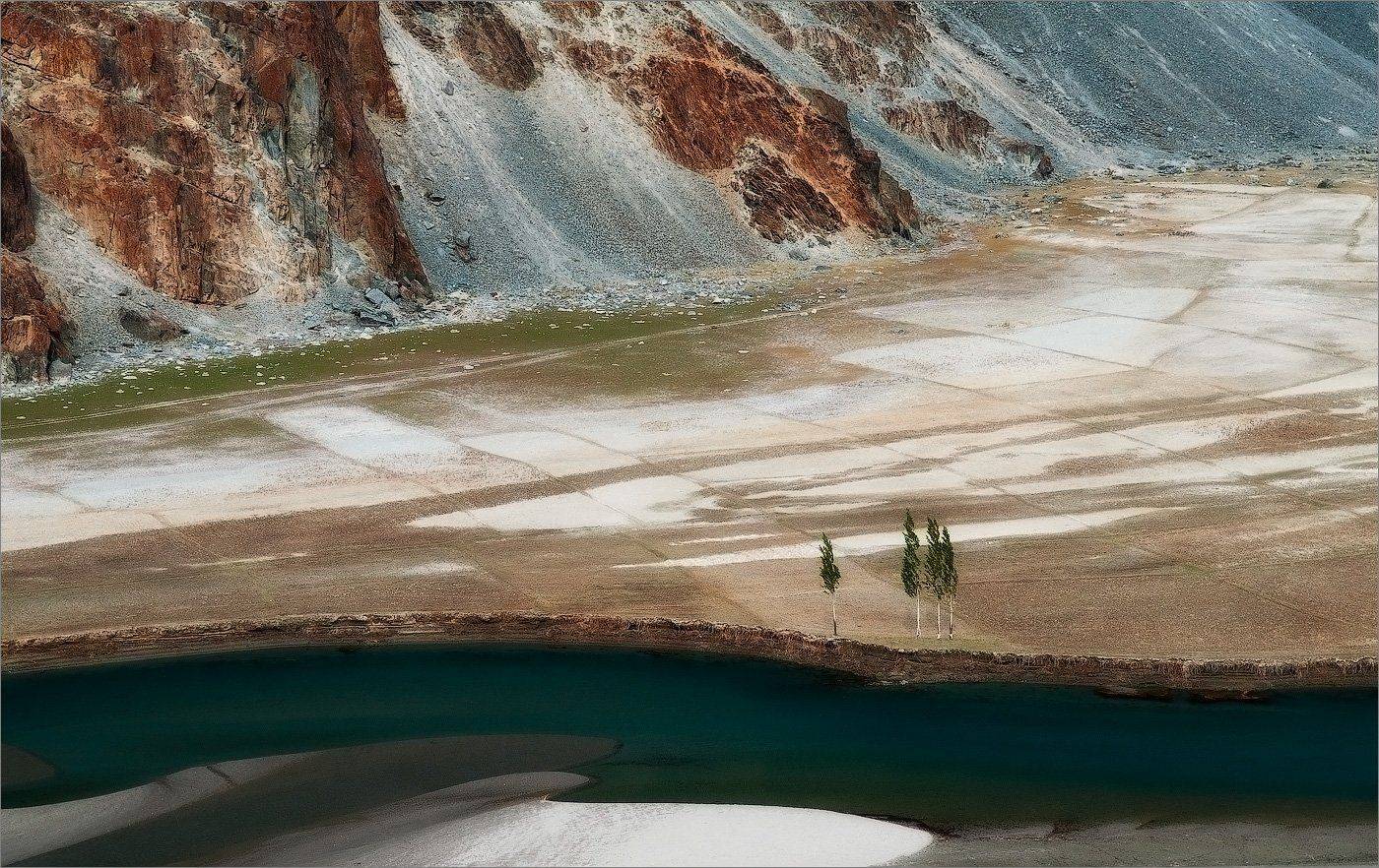 , Алексеевич