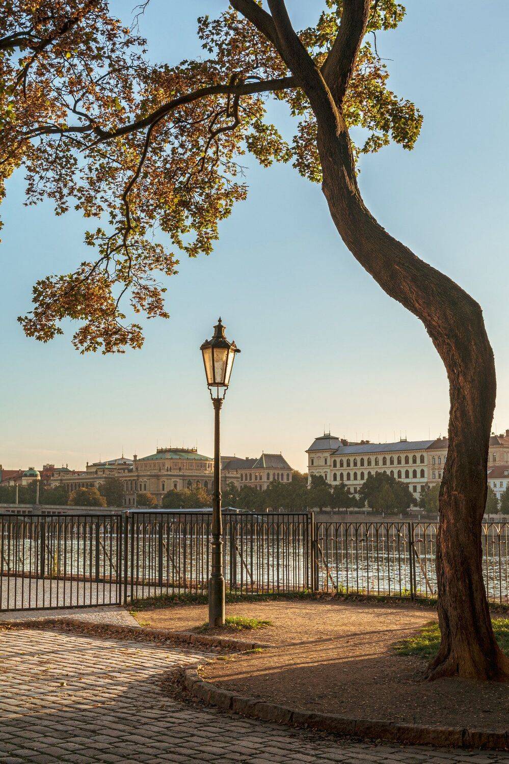 , Юрий Пужалин