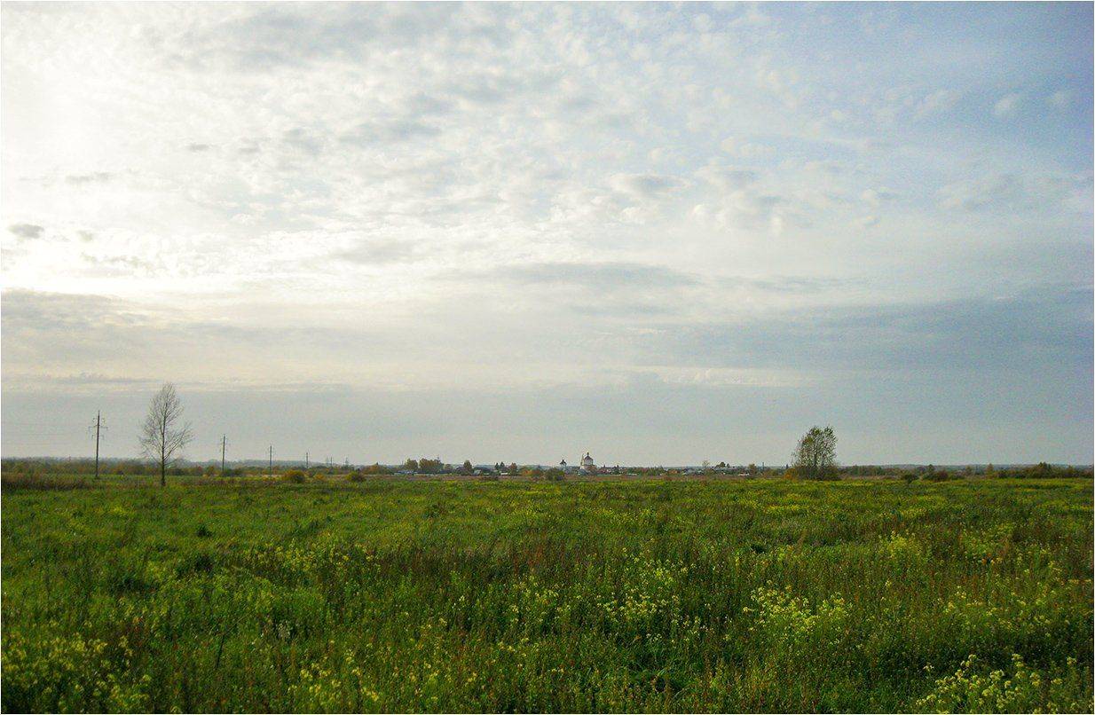 коломенский район, вид на бобреневский  монастырь..., КарОл