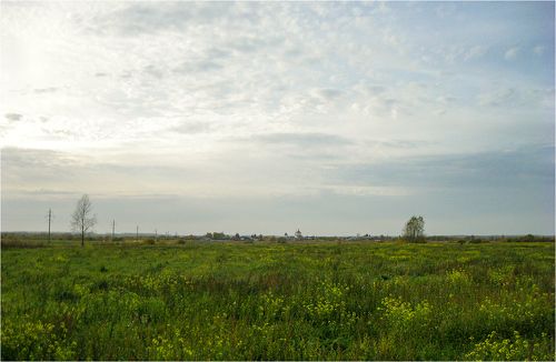 Поле